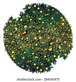 Green fruit tree round form - vector illustration
