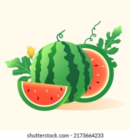 Green fruit watermelon to relieve the heat in summer, delicious food for the great summer festival, vector illustration