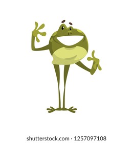 Green funny smiling frog amfibian animal cartoon character vector Illustration on a white background