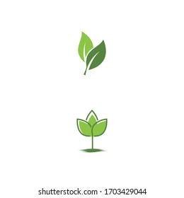 Símbolo vectorial de plantilla de logotipo de hoja verde
