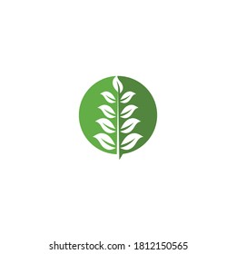 Sello verde de jardín verde Logotipo Plantilla símbolo vectorial naturaleza