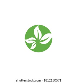Green garden green leaf Logo Template vector symbol nature