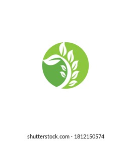 Green garden green leaf Logo Template vector symbol nature