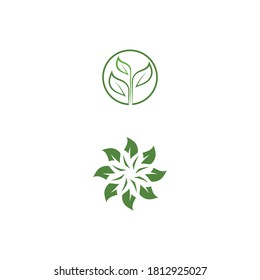 Grünes grünes Gartenblatt Logo Vorlage Vektorsymbol