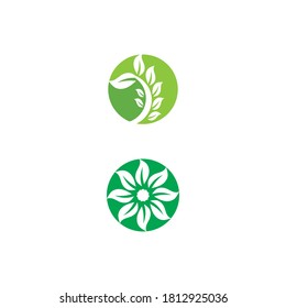 Green garden green leaf Logo Template vector symbol nature