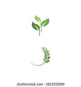 Sello verde de jardín verde Logotipo Plantilla símbolo vectorial naturaleza