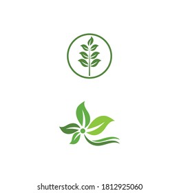 Sello verde de jardín verde Logotipo Plantilla símbolo vectorial naturaleza