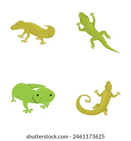 Grüne Gecko-Icons setzen Cartoon-Vektorgrafik. Nette Cartoon exotische Eidechse. Tier, Amphibien