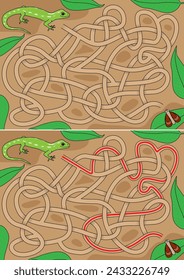 Green gecko maze for kids with a solution