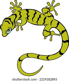 green gecko vector illustration isolated on white background