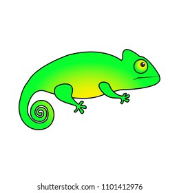 Green gecko vector illustration on a white background