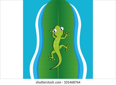green gecko which sailed on the river using a banana leaf