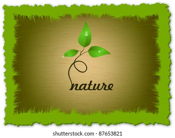 Green germ with dew in grungy grass frame