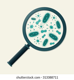 Green germs and magnifying glass - Vector illustration
