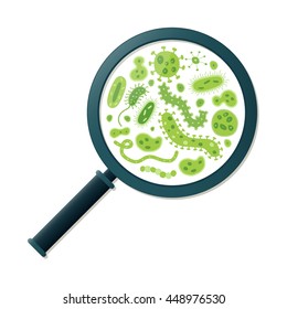 Green germs and magnifying glass - Vector illustration
