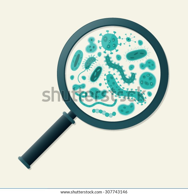 Green\
germs and magnifying glass - Vector\
illustration