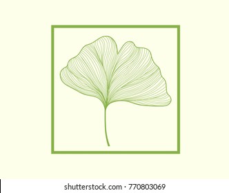 Green Gingko Leaves 