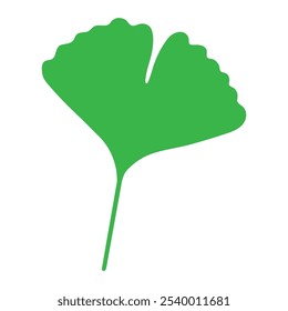 Folha verde de ginkgo biloba isolada no fundo branco. Design plano. Ilustração vetorial.