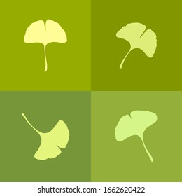Green Ginkgo or Gingko Biloba leaves icons set. Nature botanical vector illustration, herbal medicine graphic.