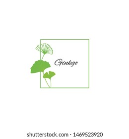 Green ginkgo leaves frame illustration