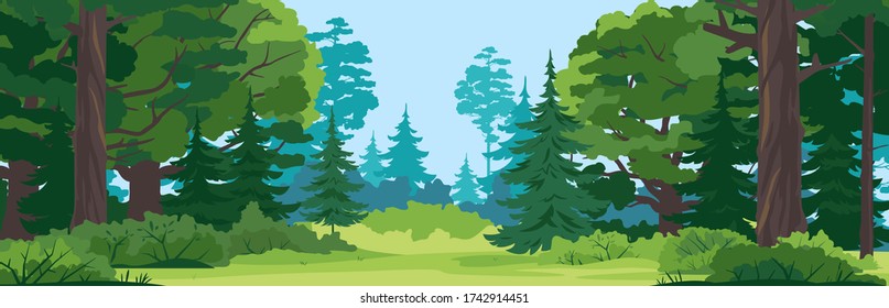 Green glade with grass in mixed forest on sunny summer day, spruce trees and bushes in front view, place for camping in the middle of the forest, place for picnic in nature
