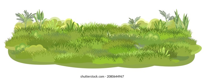 Green Glade. Summer meadow. Juicy grass close up. Grassland. Place on the field. Pasture. Isolated on white background. Cartoon style. Flat design. Illustration vector art.
