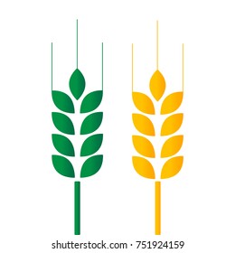 Green and Golden Wheat on Wite