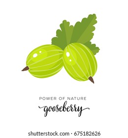 Green gooseberry berry flat icon with inscription colorful vector illustration of eco food isolated on white. 