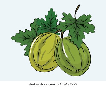 Vector de uchuva verde con fondo
