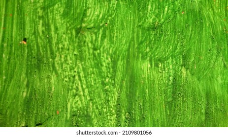 green gouache texture vector background 