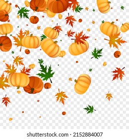 Grüner Gourdhintergrund transparenter Vektorgrafik. Goldene Urlaubskarte. Farbige Blätter November Rahmen. Rowan Vintage. Grafikvorlage.