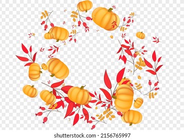 Green Gourd Background Transparent Vector. Burgundy Cozy Banner. Orange Rowan Food Template. Plant Maple. Thanksgiving Set.
