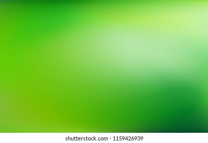 Green gradient background. Abstract nature blurred backdrop. Vector illustration. Ecology concept for your graphic design, banner or poster.