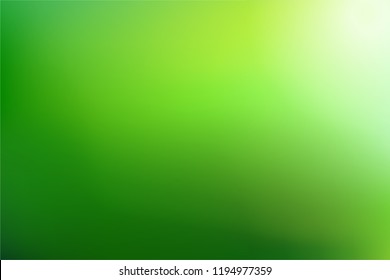 Green gradient background. Abstract nature blurred backdrop. Vector illustration. Ecology concept for your graphic design, banner or poster