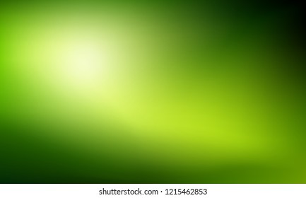 Green gradient background  with bright sunlight. Abstract nature blurred backdrop. Vector illustration. Ecology concept for your graphic design, banner or poster