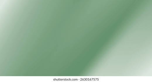 Green gradient background, sunlight shines on pastel tone empty wall, shadow from window, light colored concrete scene texture in natural, organic style. VECTOR ILLUSTRATION