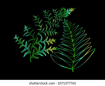 Green gradient fern illustration in a spiral. Young fern leaf.