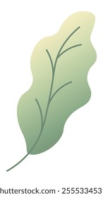 Green gradient leaf with clearly visible veins and organic shape representing nature, growth, and environmental concepts, perfect for projects related to ecology and sustainability