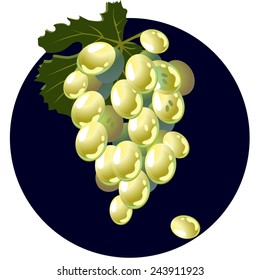 Green grape 