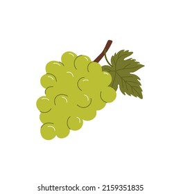 Green grape berries isolated bunch with leaf flat cartoon style icon. Vector wine ingredient, vegetarian food dessert, isabella grape, sweet summer berries, muscat cardinal cluster, fresh grapes