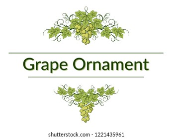 Green Grape Bunches, Berries and Leaves on White Background, Symmetrical Ornament. Vector