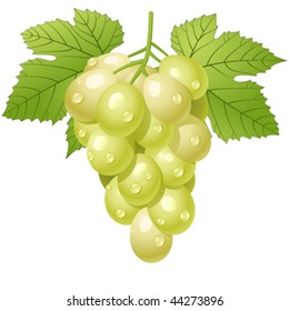 green grape cluster - vector illustration