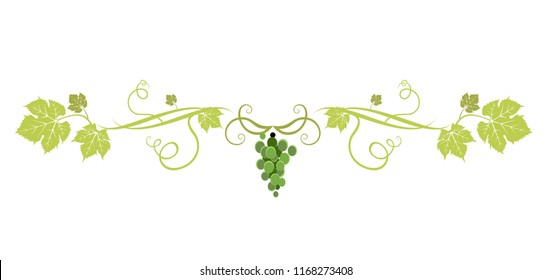 Green grape divider