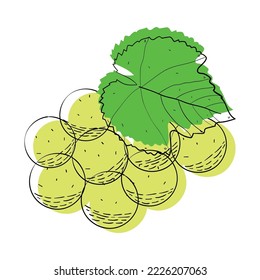 Green Grape fruit. Abstract modern set of green grape icons, whole and sliced. For web, print, product design, grape logo. Doddle, line, contour. Vector hand drawn flat illustration.