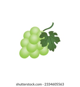 Icono de vector de frutas de uva verde