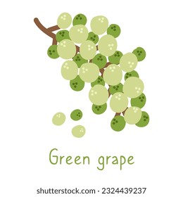 Green grape isolated hand drawn illustration on a white background. Simple poster and card