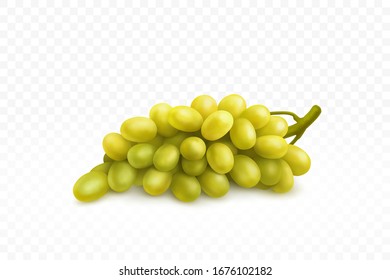 Uva verde aislada en fondo blanco, ilustración vectorial.