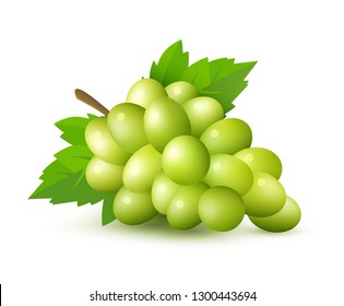 Green grape with leaves and clipping path, vector illustration