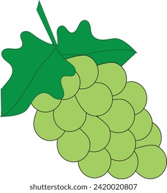 green grape on white background, green grape illustration vector, green grape icon vector, green grape animation vector for your design needs