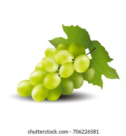Green grape on a white background vector design.